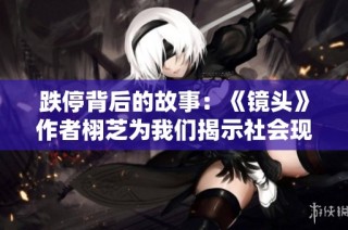 跌停背后的故事：《镜头》作者栩芝为我们揭示社会现象的深层次原因