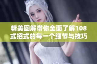 精美图解带你全面了解108式招式的每一个细节与技巧
