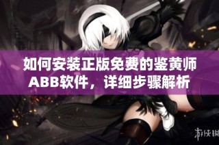 如何安装正版免费的鉴黄师ABB软件，详细步骤解析