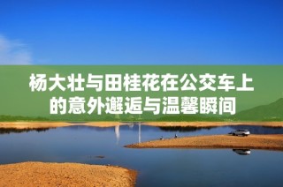 杨大壮与田桂花在公交车上的意外邂逅与温馨瞬间