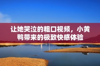 让她哭泣的粗口视频，小黄鸭带来的极致快感体验