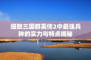 细数三国群英传2中最强兵种的实力与特点揭秘