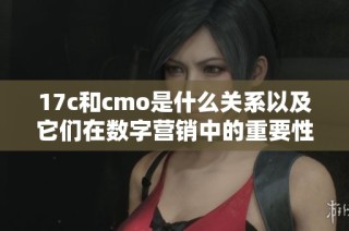17c和cmo是什么关系以及它们在数字营销中的重要性解析