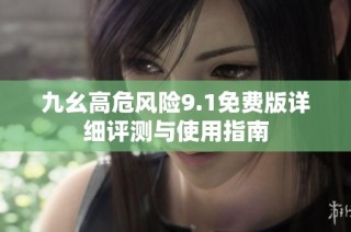九幺高危风险9.1免费版详细评测与使用指南