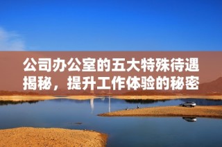 公司办公室的五大特殊待遇揭秘，提升工作体验的秘密所在