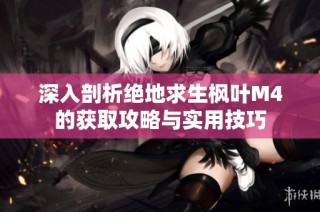 深入剖析绝地求生枫叶M4的获取攻略与实用技巧