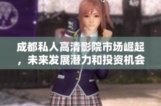 成都私人高清影院市场崛起，未来发展潜力和投资机会分析探讨