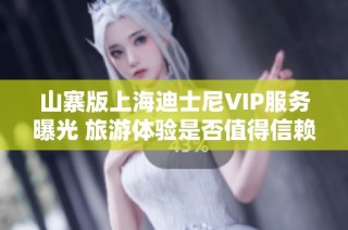 山寨版上海迪士尼VIP服务曝光 旅游体验是否值得信赖