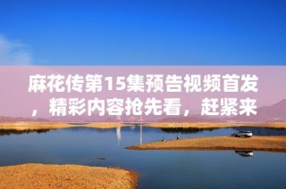 麻花传第15集预告视频首发，精彩内容抢先看，赶紧来了解吧
