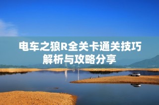 电车之狼R全关卡通关技巧解析与攻略分享