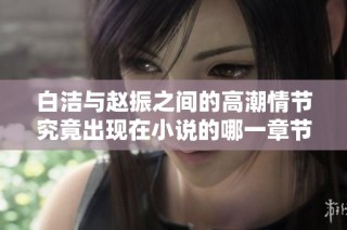 白洁与赵振之间的高潮情节究竟出现在小说的哪一章节中