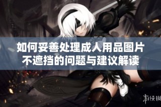如何妥善处理成人用品图片不遮挡的问题与建议解读