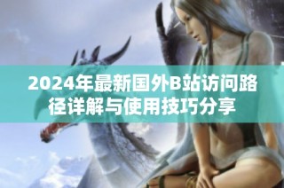 2024年最新国外B站访问路径详解与使用技巧分享
