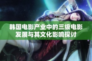 韩国电影产业中的三级电影发展与其文化影响探讨