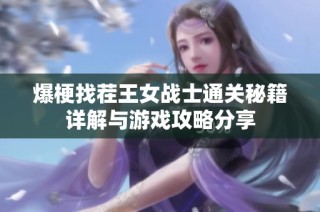 爆梗找茬王女战士通关秘籍详解与游戏攻略分享