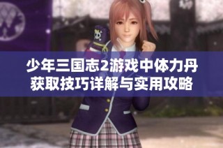 少年三国志2游戏中体力丹获取技巧详解与实用攻略