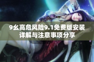 9幺高危风险9.1免费版安装详解与注意事项分享
