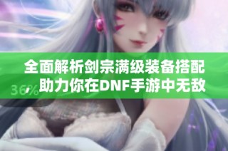 全面解析剑宗满级装备搭配，助力你在DNF手游中无敌畅游