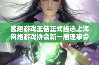 盛趣游戏王佶正式当选上海网络游戏协会新一届理事会会长