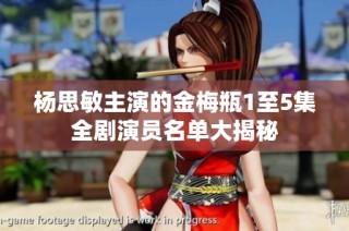 杨思敏主演的金梅瓶1至5集全剧演员名单大揭秘