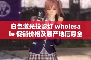 白色激光投影灯 wholesale 促销价格及原产地信息全解析