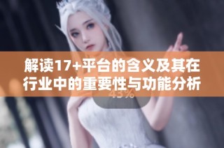解读17+平台的含义及其在行业中的重要性与功能分析