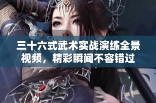 三十六式武术实战演练全景视频，精彩瞬间不容错过