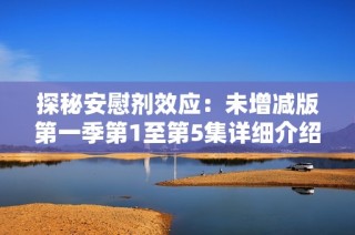探秘安慰剂效应：未增减版第一季第1至第5集详细介绍与分析
