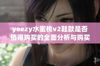 yeezy水蜜桃v2鞋款是否值得购买的全面分析与购买建议