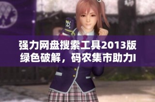 强力网盘搜索工具2013版绿色破解，码农集市助力IT编程学习