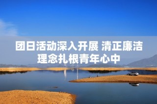 团日活动深入开展 清正廉洁理念扎根青年心中