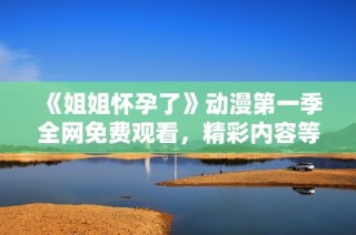 《姐姐怀孕了》动漫第一季全网免费观看，精彩内容等你来发现！