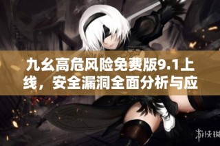 九幺高危风险免费版9.1上线，安全漏洞全面分析与应对策略
