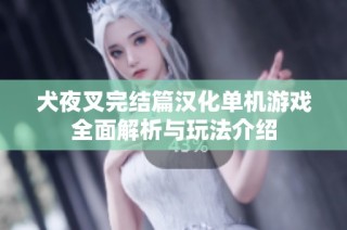 犬夜叉完结篇汉化单机游戏全面解析与玩法介绍