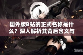 国外版B站的正式名称是什么？深入解析其背后含义与发展历程