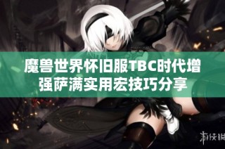 魔兽世界怀旧服TBC时代增强萨满实用宏技巧分享