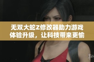 无双大蛇Z修改器助力游戏体验升级，让科技带来更愉悦的游戏享受