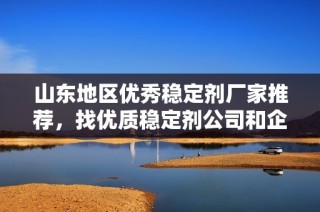 山东地区优秀稳定剂厂家推荐，找优质稳定剂公司和企业的最佳选择