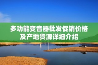 多功能变音器批发促销价格及产地货源详细介绍