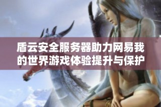 盾云安全服务器助力网易我的世界游戏体验提升与保护