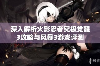 深入解析火影忍者究极觉醒3攻略与风暴3游戏评测