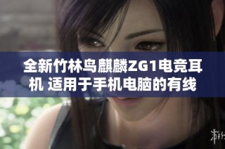 全新竹林鸟麒麟ZG1电竞耳机 适用于手机电脑的有线挂耳款式