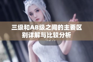 三级和AB级之间的主要区别详解与比较分析