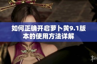 如何正确开启萝卜黄9.1版本的使用方法详解