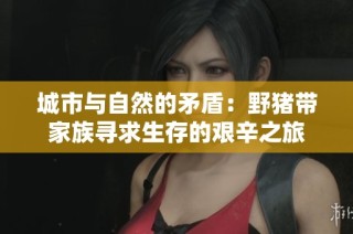 城市与自然的矛盾：野猪带家族寻求生存的艰辛之旅