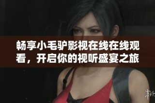 畅享小毛驴影视在线在线观看，开启你的视听盛宴之旅