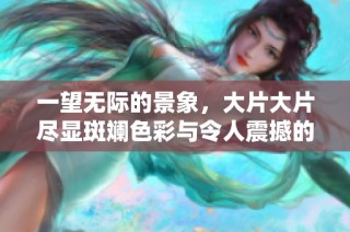 一望无际的景象，大片大片尽显斑斓色彩与令人震撼的美感