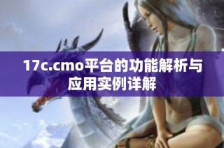 17c.cmo平台的功能解析与应用实例详解