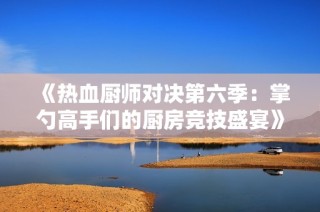 《热血厨师对决第六季：掌勺高手们的厨房竞技盛宴》