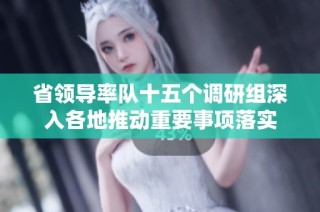 省领导率队十五个调研组深入各地推动重要事项落实